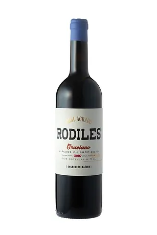ワイン　Rodiles 2007 ロディレス